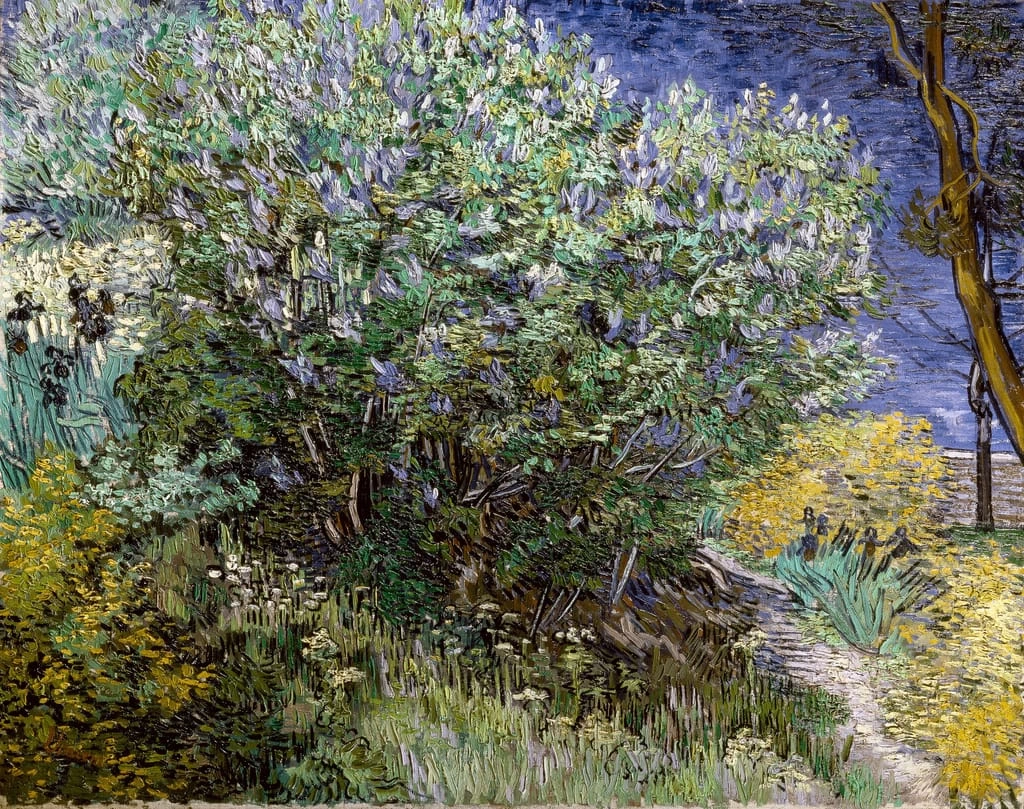  91-Vincent van Gogh-Il cspuglio di lillà - State Hermitage Museum, St. Petersburg 